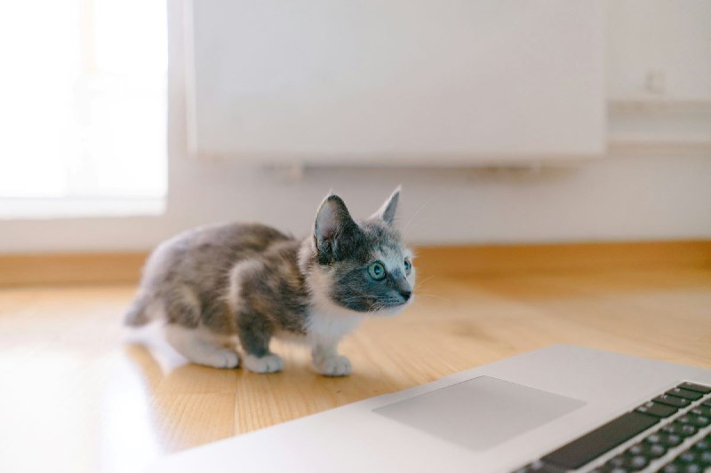 Abner's Blog - 技术探索与生活感悟